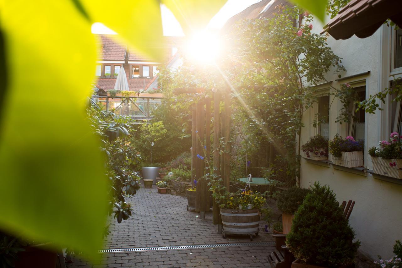 Beate'S Bed & Breakfast Münzenberg Dış mekan fotoğraf